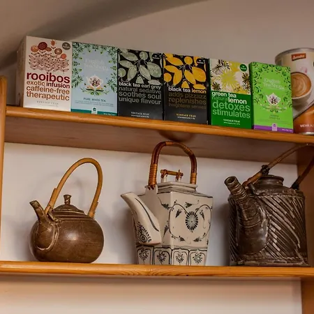 Vegzion - Vegan Homestay Svoboda nad Upou