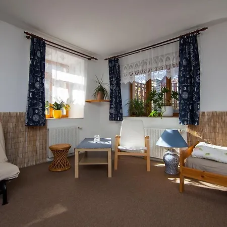 Vegzion - Vegan Homestay *
